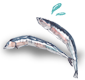 ġ