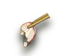 ȸ